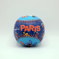 Disneyland Paris Exclusive Collectible Baseball